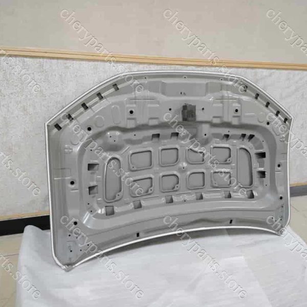 f16-8402010ca-dy hood assy-eletrophoresis 924