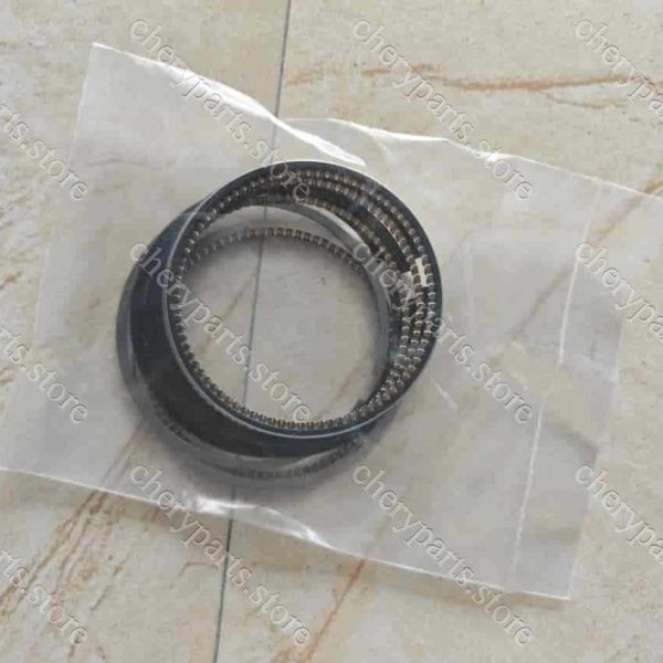 f4j16-bj1004120 piston ring 1429