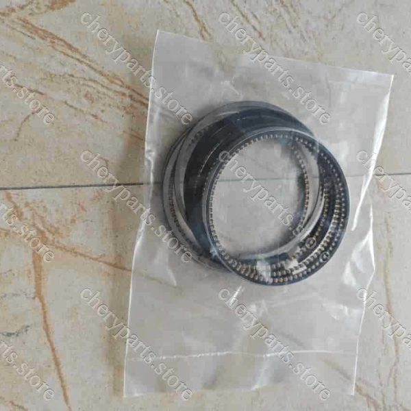 f4j16-bj1004120 piston ring 1430